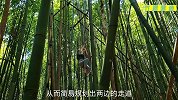 女孩独自在深山老林搭建出空中竹屋，真是太牛了