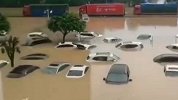 东莞暴雨致大量汽车被淹 4S店救援电话被打爆