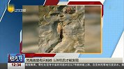 说天下2017-20171110-梵高画里有只蚂蚱 128年后才被发现
