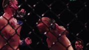 UFC-16年-UFC202倒计时：乔罗根预测安东尼约翰逊vs特谢拉-专题