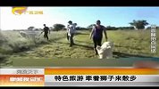 新闻夜总汇-20120507-特色旅游.牵着狮子来散步