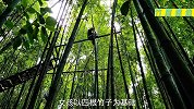 女孩在荒郊野岭建造出一座别致的小竹屋，真是太厉害了