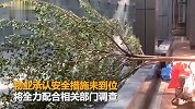 【广东】小区施工有隐患 广东86岁老人竟被树枝砸到不幸身亡