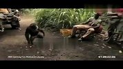 实拍黑猩猩持AK-47向士兵扫射