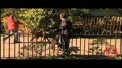 老外整人-两只狗
