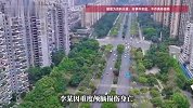 男子骑车载妻子为躲狗摔倒后，未戴头盔妻子身亡，起诉4辆违停车索赔124万
