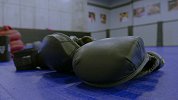 UFC236纪实：天佑要从MMA退役当保时捷车队赛车手？