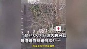 西安一小区铁门倒塌砸死业主，值班保安称“背锅”被开除，物业回应