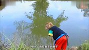 一只野鸡落水，猴子发现直接揪了起来，准备带回家做鸡汤喝