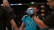 2015UFC第186期合集