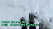 一日观四季！立夏日新疆多地大雪纷飞树梢挂满积雪，午后便晴空万里