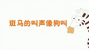 动物冷知识 第7集 斑马的叫声像狗叫