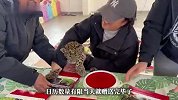 山西一动物园小金钱豹自己赚奶粉钱，一脸懵懂的被捏着爪子摁爪印
