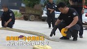 【云南】小伙养宠物蛇4年后成巨蟒 无奈报警求助森林公安