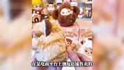 泡泡玛特电子木鱼爆火！毕奇敲敲最高溢价230%，隐藏款售价327元