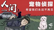 《人间》-宠物侦探第一人！自创黑科技寻猫狗 失主愿付上万酬谢