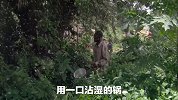 非洲蚊子汉堡你敢吃吗？