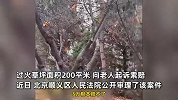老人烧纸引燃绿化带，绿化公司称30余株树木受损索赔5万，老人儿子：只能赔8000元