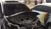 物业焚烧落叶误把业主车烧报废：树叶太多没地丢