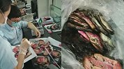 江苏一男子睡觉时点了个蚊香 15万血汗钱烧为灰烬