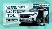 “蛋炒饭”般的东风风行T5L | 萝卜报告