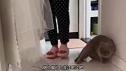 猫：不好意思啊，硌你的脚了
