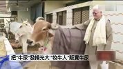 旅游-150305-印度人拿牛尿当成宝 相信喝牛尿延年益寿