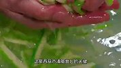 西葫芦买回来不要直接下锅炒，教你一招，清脆爽口好吃又下饭