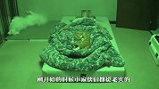 和猫狗一起睡觉是什么体验？铲屎官要疯了，镜头记录爆笑全程