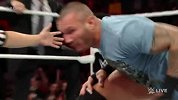 WWE-14年-RAW第1119期：毒蛇突袭RKO权限狗 罗林斯错失洲际冠军赛-花絮