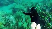 美女水下无氧酷炫潜水 大秀翘臀长腿