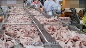 为什么超市会有那么多冷冻鸡腿？看完解开多年疑惑！