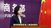 法国补贴新规将中国车排除在外，商务部-严重关切