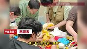 才出生10余天！7只幼犬被弃油漆桶裹满油漆，志愿者爱心接力救助小狗