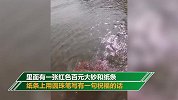 武汉江边捡到漂流瓶取出百元大钞和纸条 纸条内容让男子兴奋不已
