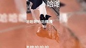 不要笑挑战，盘点那些比二哈还蠢的狗狗