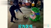 青蛙玩偶搞笑大赏，穿上这个衣服还真是为所欲为
