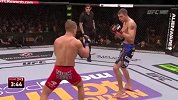 UFC-14年-UFC Fight Night 57：维克vs海茵集锦-精华