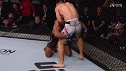 UFC-17年-年度十大降服-排名第3 -宋亚东站立断头台降服卡德尔-集锦