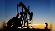 预告油市趋紧！OPEC上调今年全球石油需求增长预期