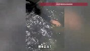 7旬老人过河买药被水流冲走，钓鱼男子将其救起，目击者回应