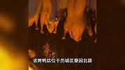 烤鸭店停业告示火了：种18年的枣树要打枣，祝考生“鸭”的全对