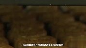 二手月饼炒至上千？史上最严监管政策下，数字月饼为啥突然爆火？