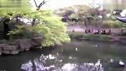 旅游-苏州拙政园