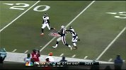 NFL-1314赛季-常规赛-第12周-Brady5码传球达阵 爱国者7：24野马-花絮
