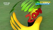 世界杯-14年-小组赛-E组-第3轮-瑞士德尔米奇突入禁区横传 沙奇里劲射-花絮