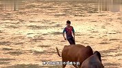 黄牛突然闯入比赛现场，见到人就上去顶，结果就悲剧了