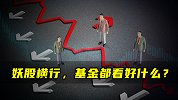 妖股横行，基金都看好什么？