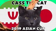 萌猫预测伊朗大战日本 波斯铁骑强势进决赛？