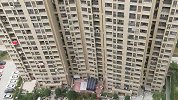 14岁男孩从小区31层跳楼身亡 知情人：孩子妈妈把他作业撕了